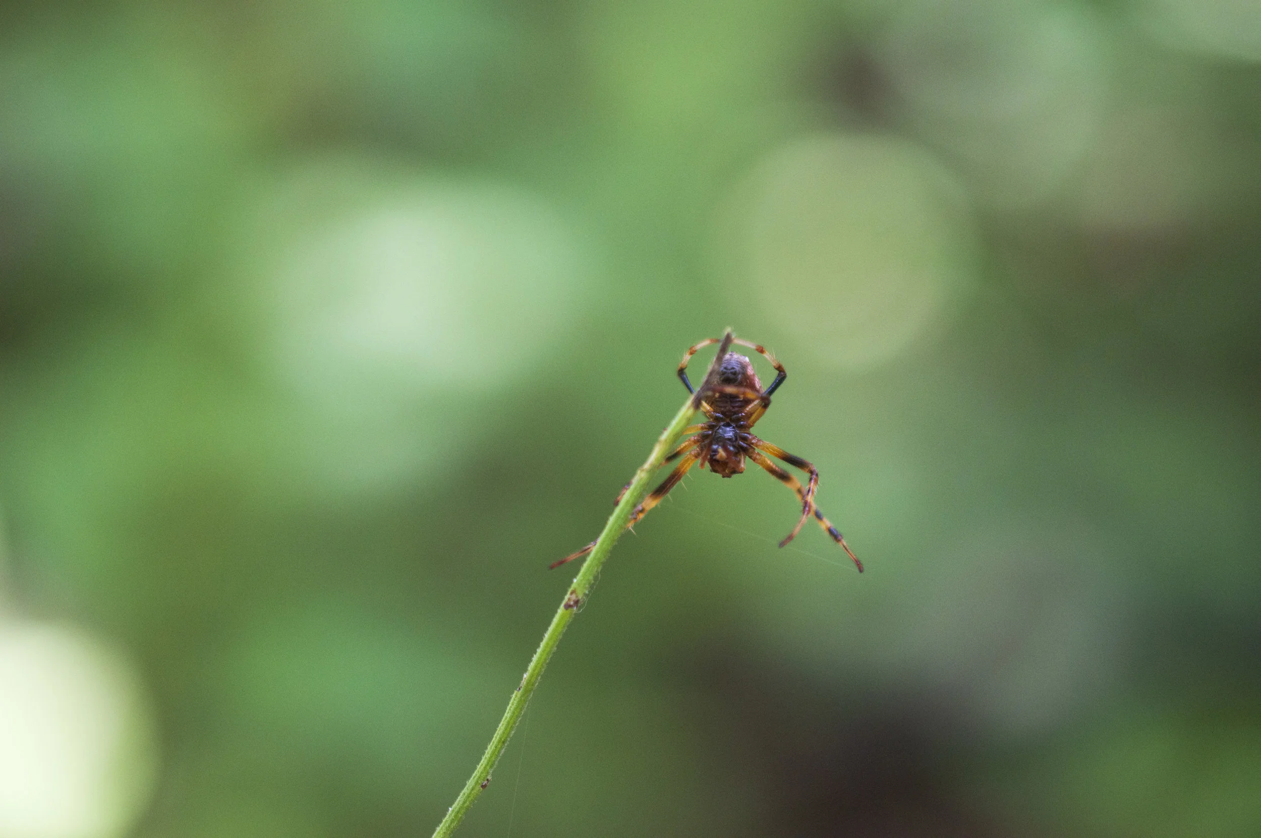 20180818_PoncaWilderness_0013.jpg
