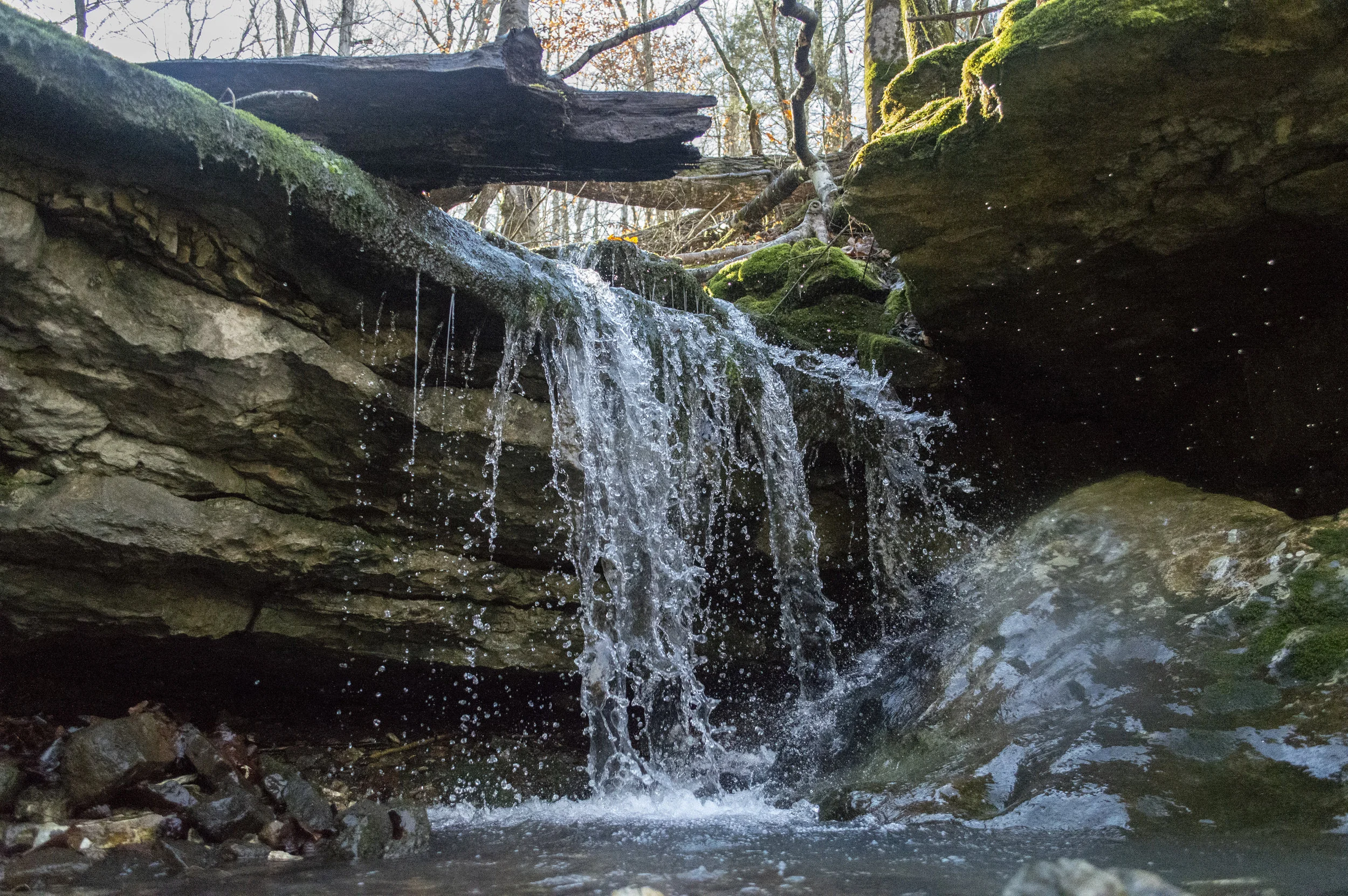 _DSC8311.jpg