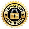 ssl-secure100.png