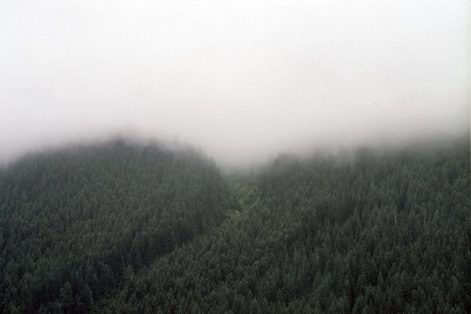 unnamed-3.jpg