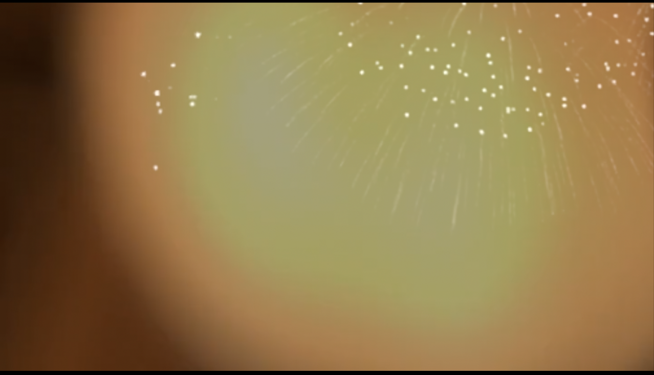 Screen Shot 2018-01-23 at 7.30.48 PM.png
