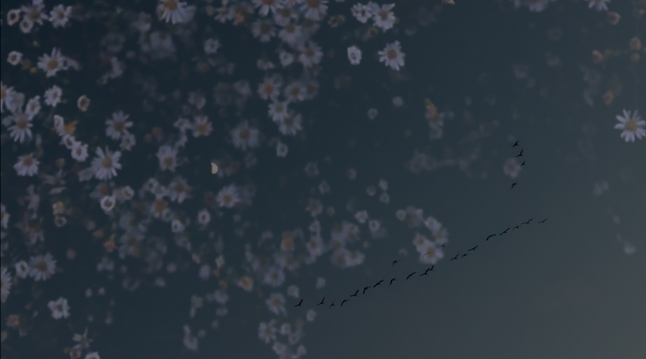 Screen Shot 2018-02-28 at 7.41.07 PM.png