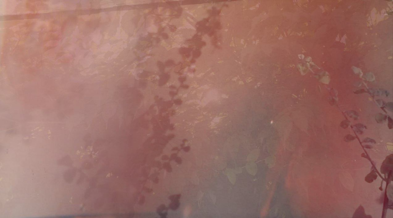 Screen Shot 2018-01-23 at 7.28.02 PM.png