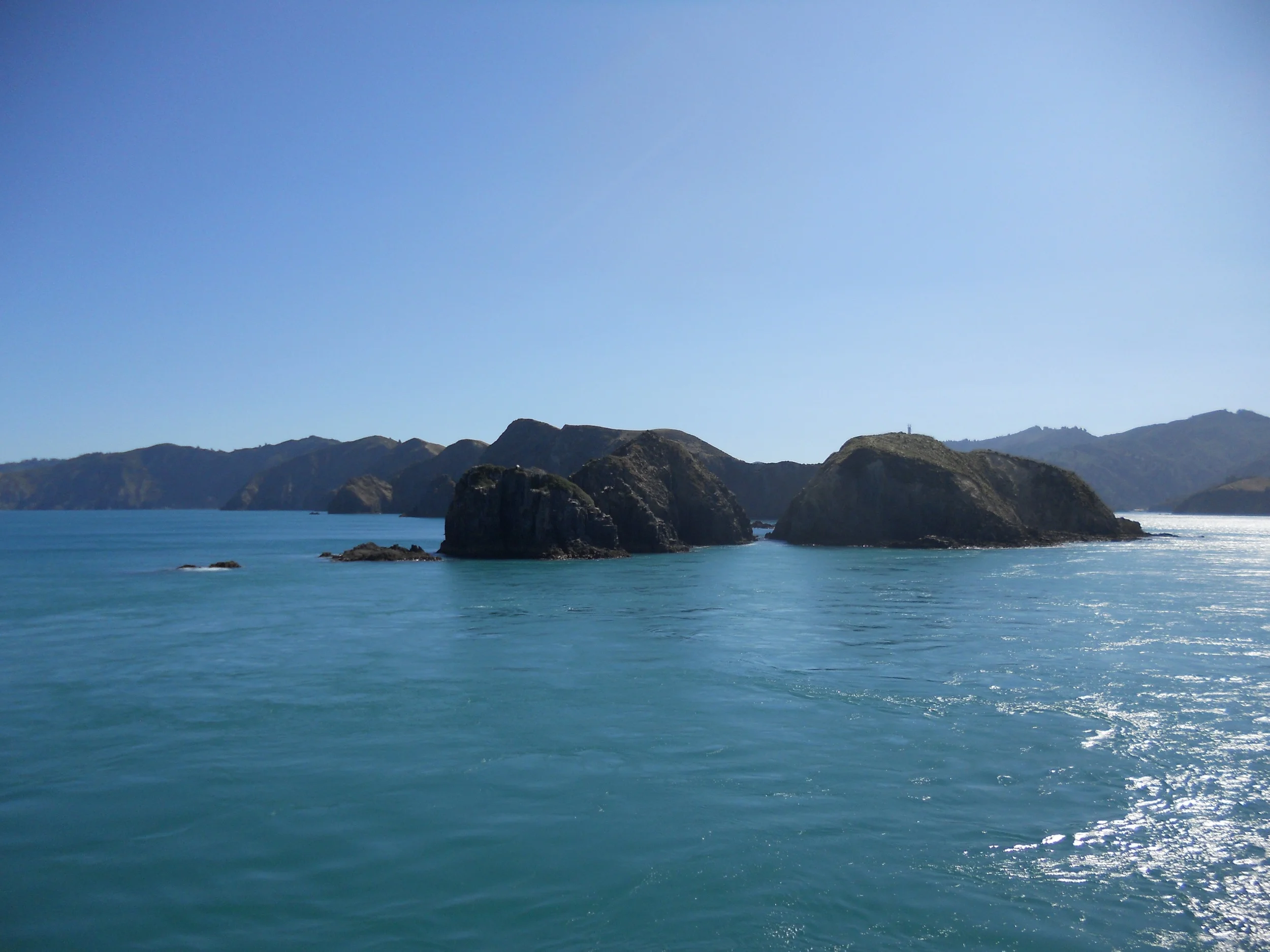 DSCN6317.jpg