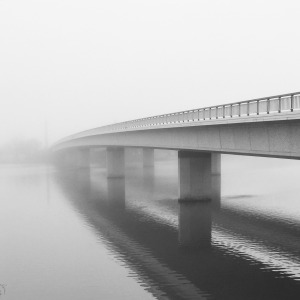  So foggy! The commute of gloom