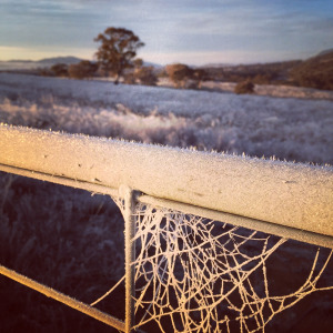  So frozen! Training in minus six.