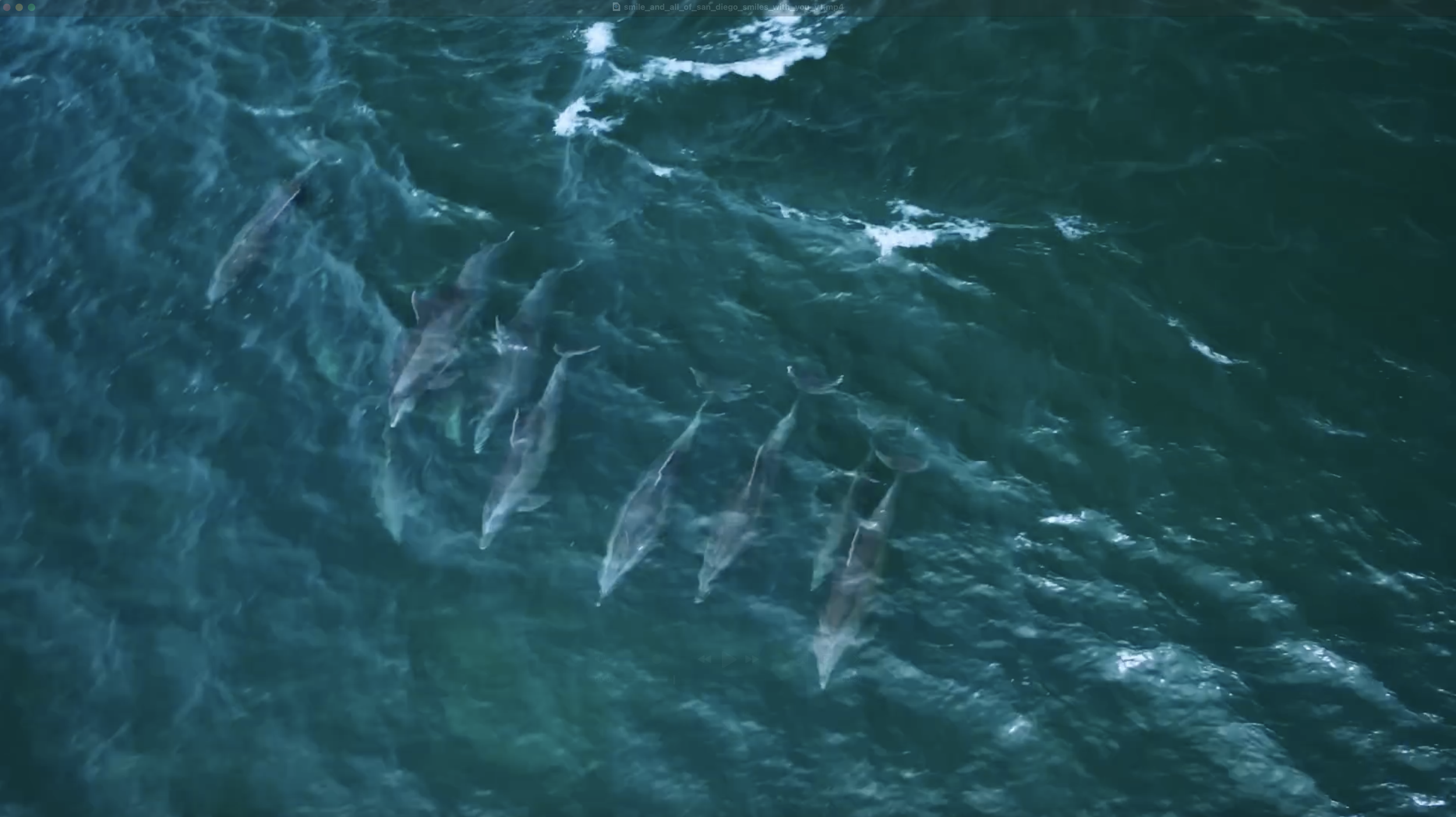 Screenshot 2026-04-28 at 1.45.28 PM.png