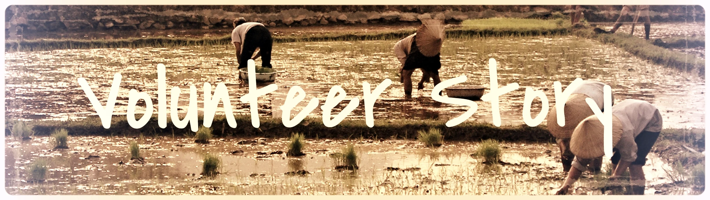 workingRiceField.jpg