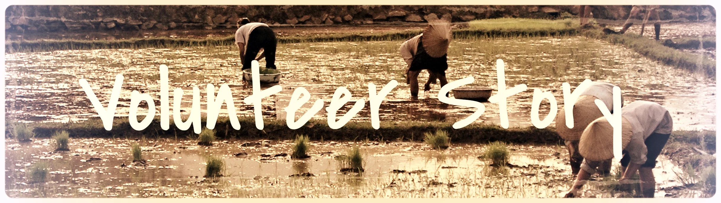 workingRiceField.jpg