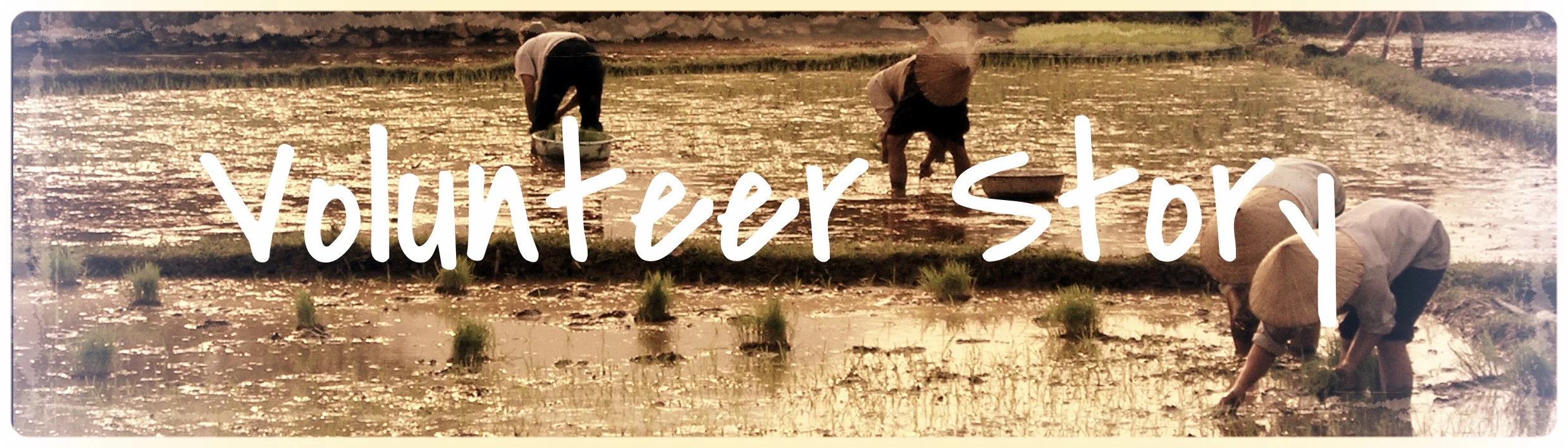 workingRiceField.jpg