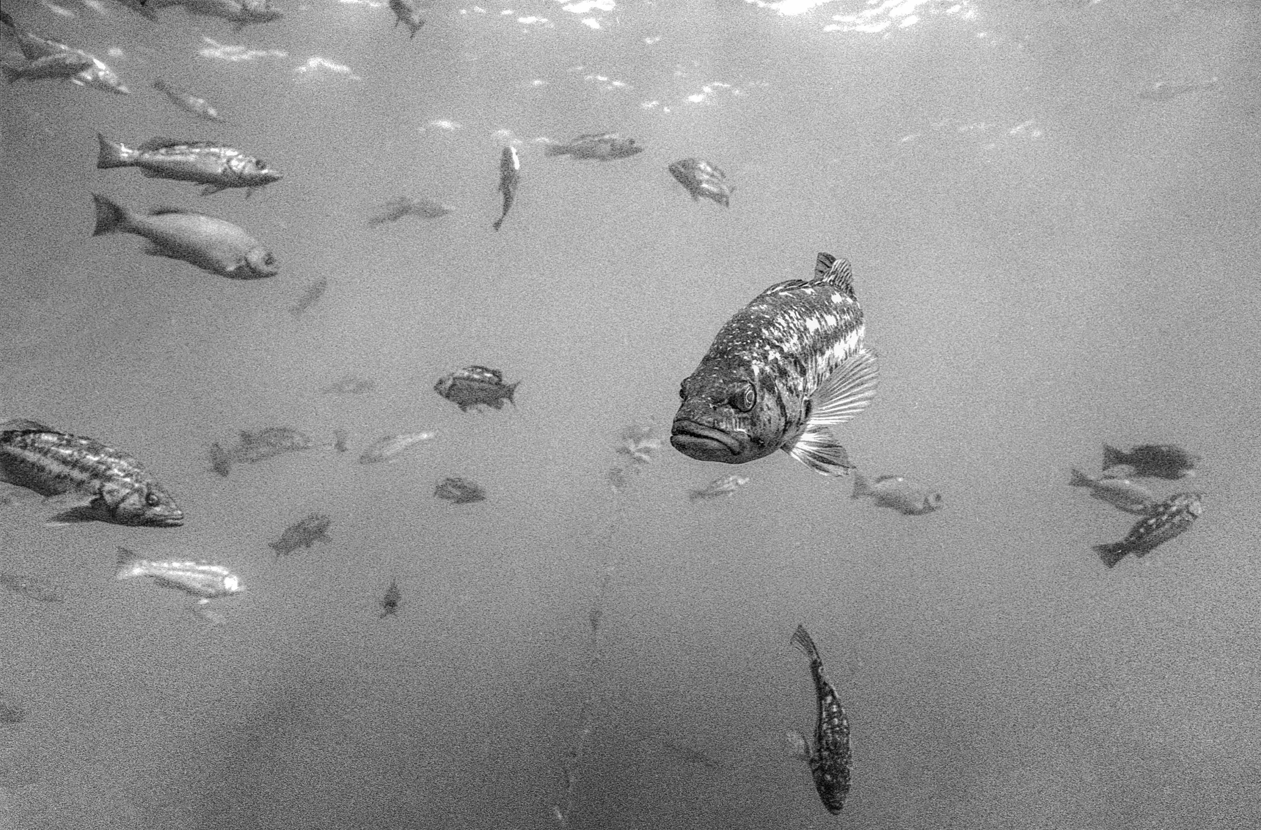 Image 1 31-Edit-Edit.jpg