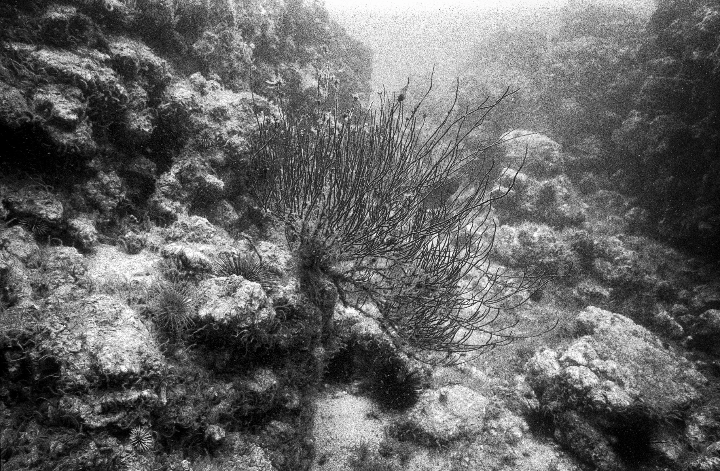 img-132-Edit.jpg