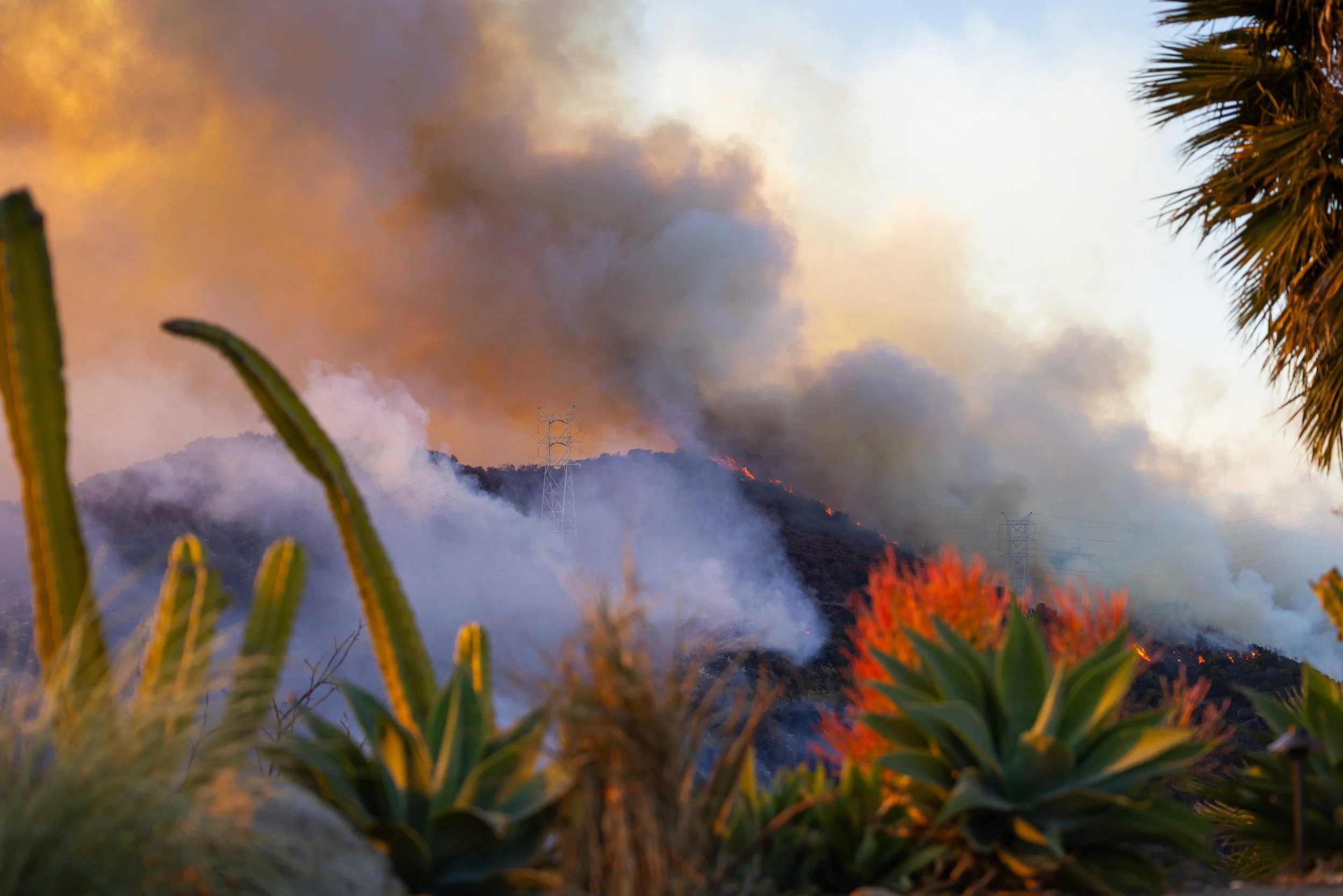 20250111_jlc_palisades_fire_18985.JPG