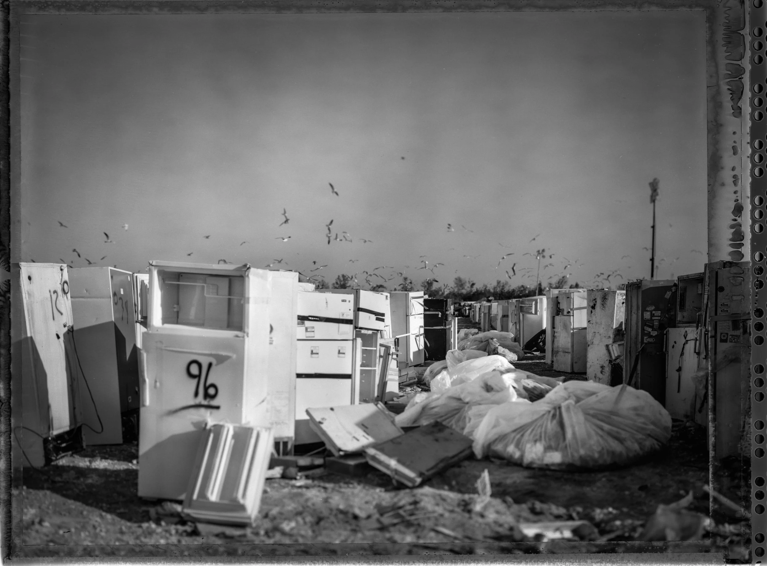 chantilly_dump001.jpg