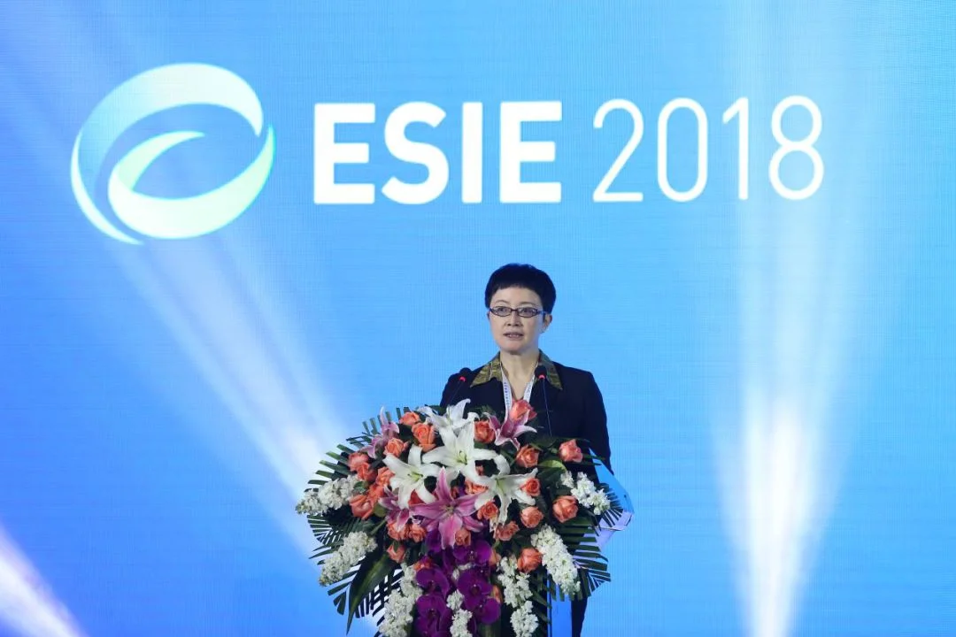 National Energy Administration Vice Director Liu Yafang Delivers the Opening Speech