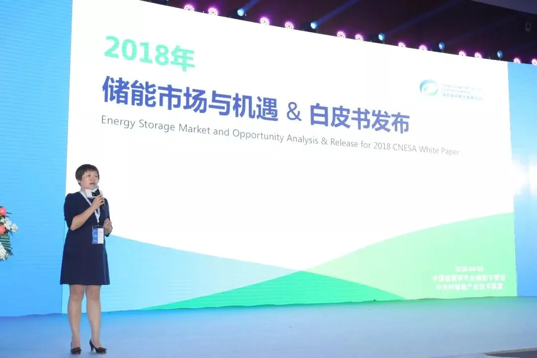 China Energy Storage Alliance Chief Supervisor Zhang Jing Announces the Release of the Energy Storage Industry White Paper 2018
