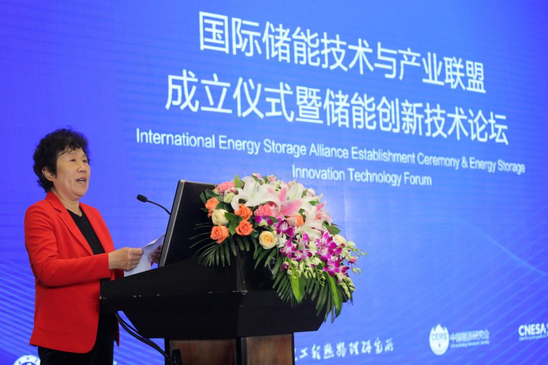 China Energy Research Society General Secretary Zheng Yuping Delivers a Speech