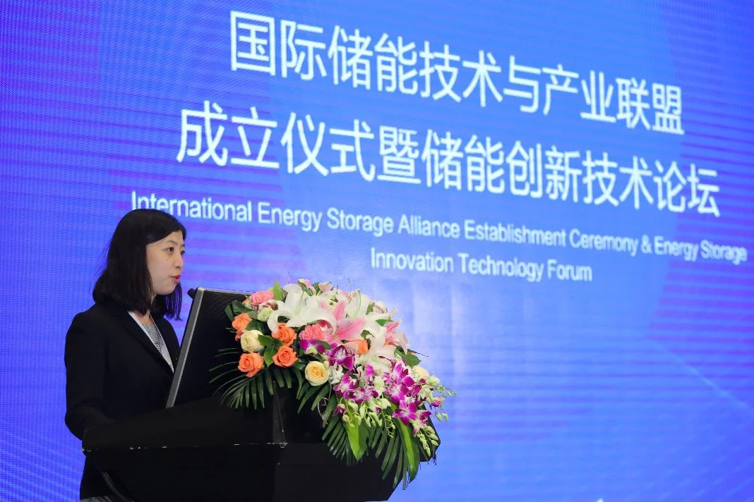 Chinese Academy of Sciences International Cooperation Department International Organizations Office Director Feng Kai Delivers a Speech