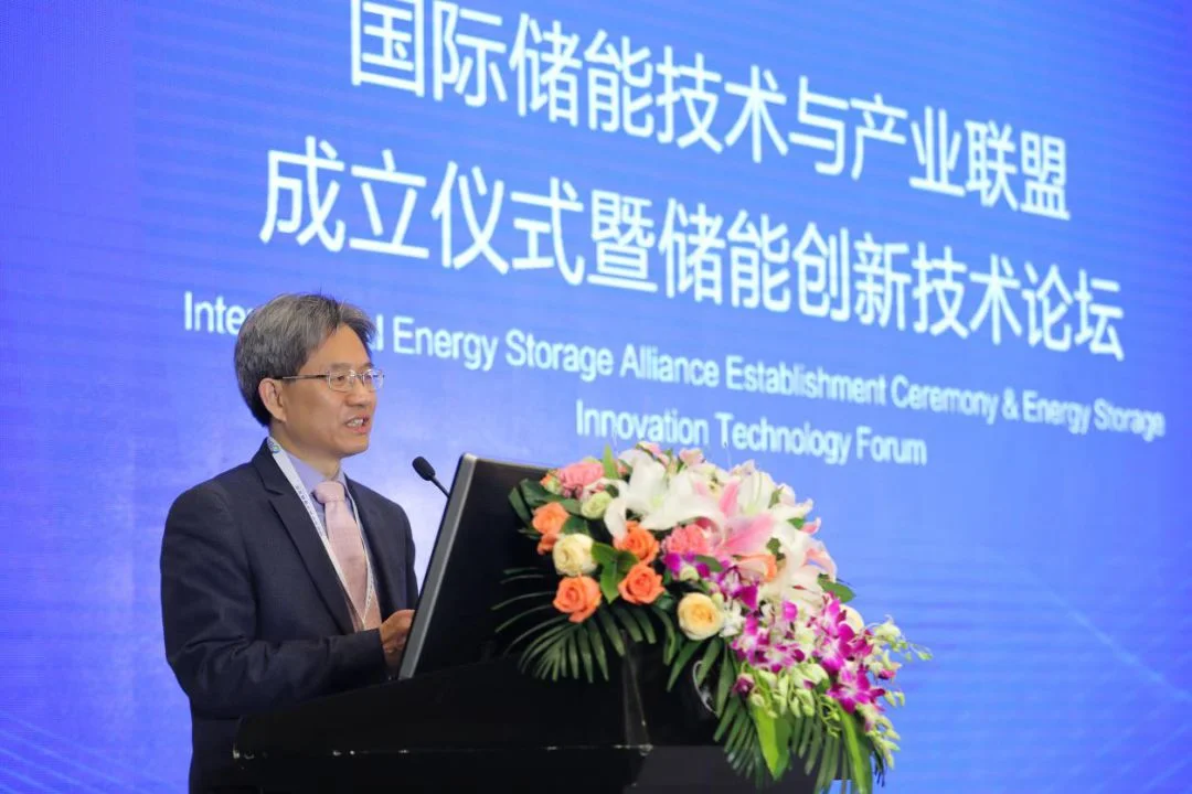 INESA Representative Professor Ding Yulong of Birmingham University Delivers a Speech