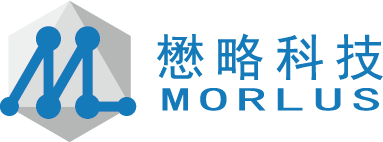 580_北京懋略科技有限公司.png