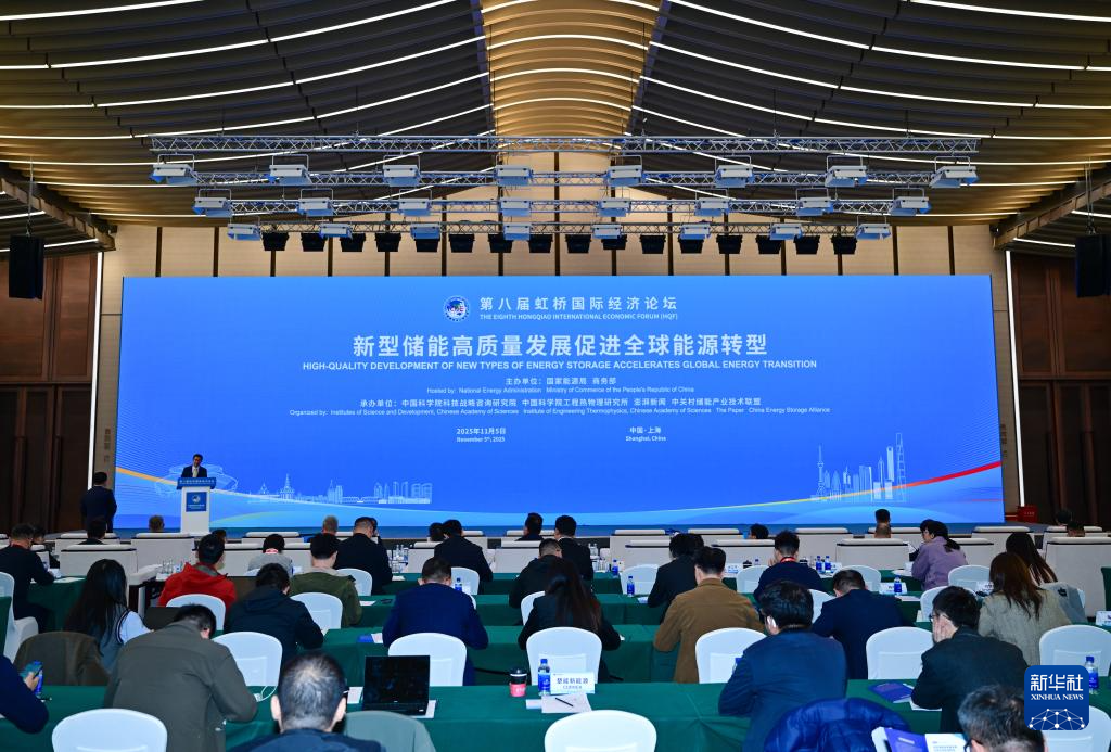 The 8th Hongqiao International Economic Forum - “High-quality Development of New Types of Energy Storage Accelerates Global Energy Transition”
