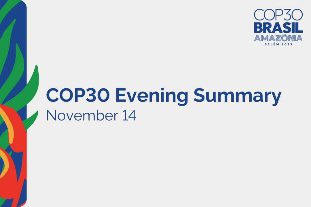 COP30 Sends a Strong Signal: Trillions of Dollars Flowing In, Marking the “Acceleration Moment” for Global Energy Storage Deployment