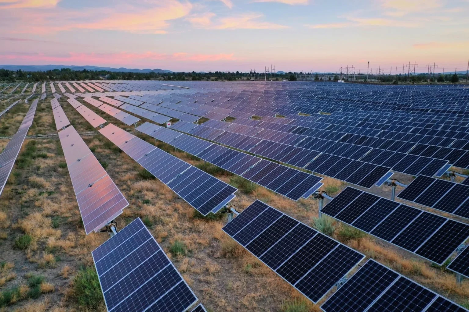 Amazon buys 1.2GW Sunstone solar-plus-storage project from bankrupt Pine Gate