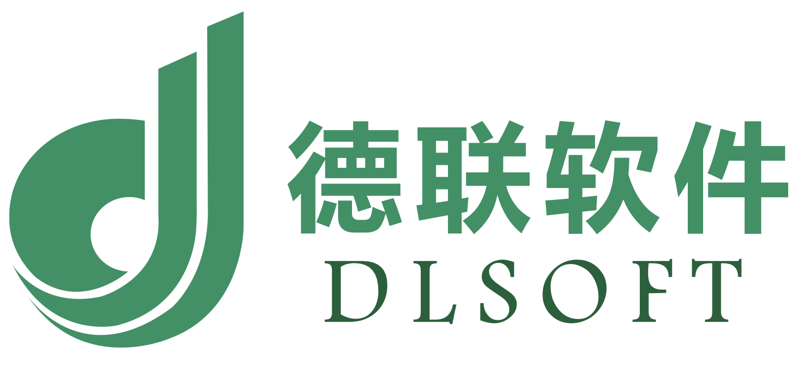 Logo with icon of a stylized musical note combined with a cybersecurity shield, alongside Chinese characters and the text 'DLSOFT'.