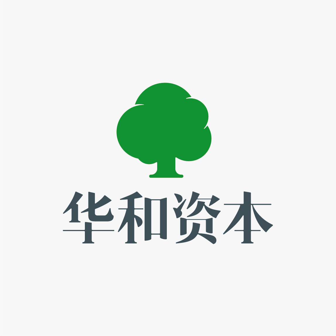 Huahe Capital 华和资本