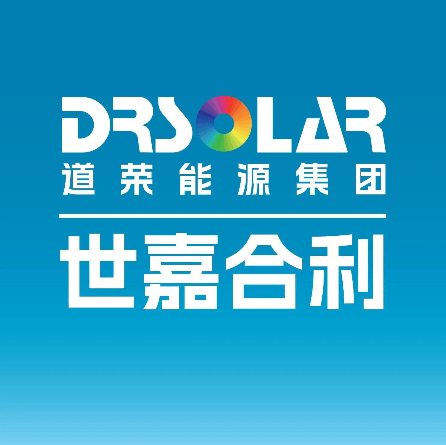 796_安徽世嘉合利新能源有限公司.jpg
