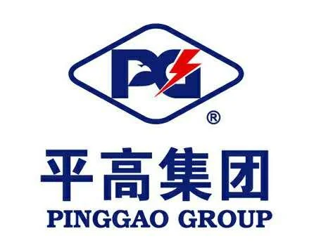 Logo of Pinggao Group featuring stylized letters P and G with a lightning bolt, along with Chinese characters and English text.