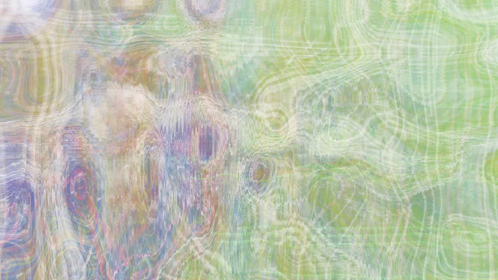 loosestrife . 3/14