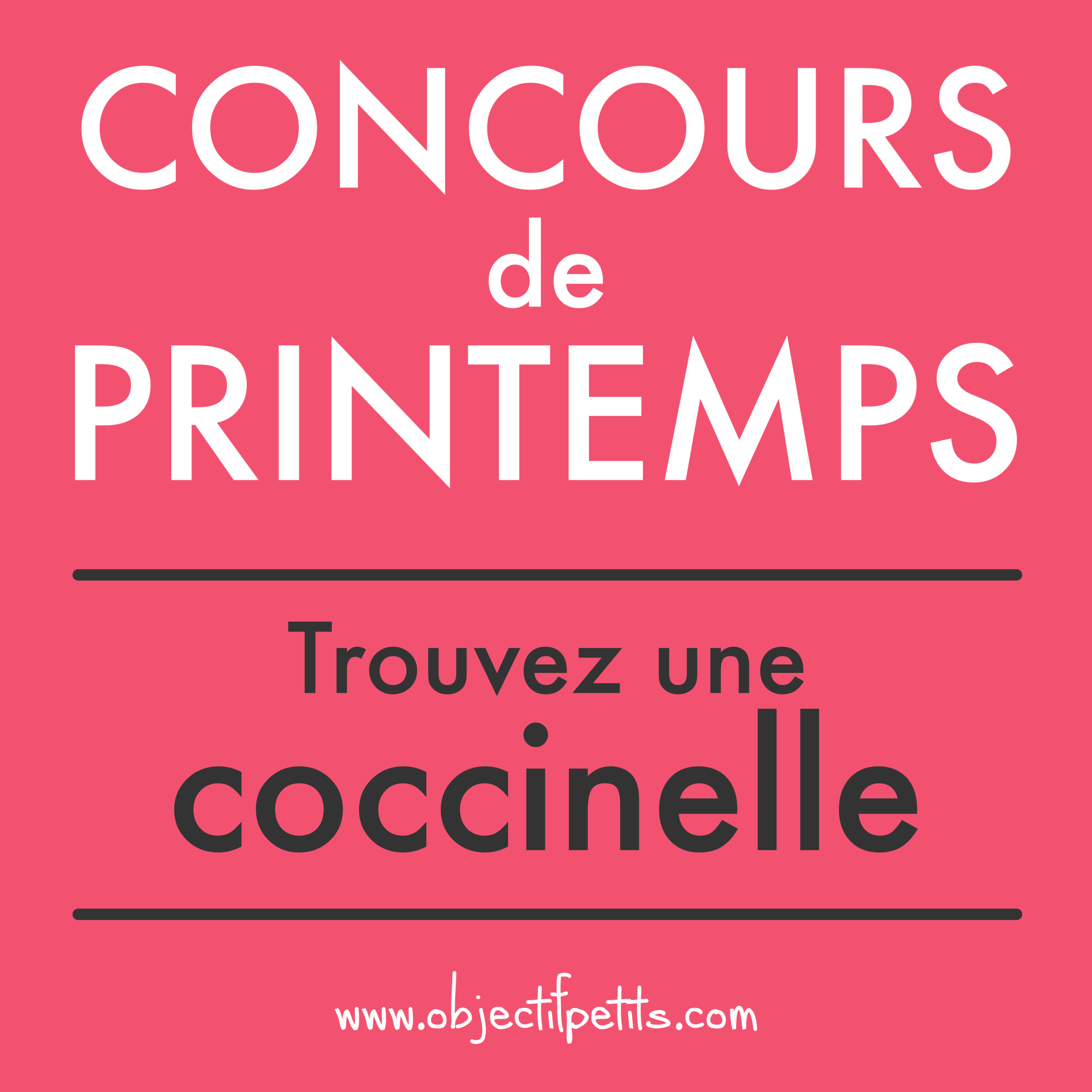 Concours de Printemps - Trouvez une COCCINELLE - Objectif Petits Photographe à BREST
