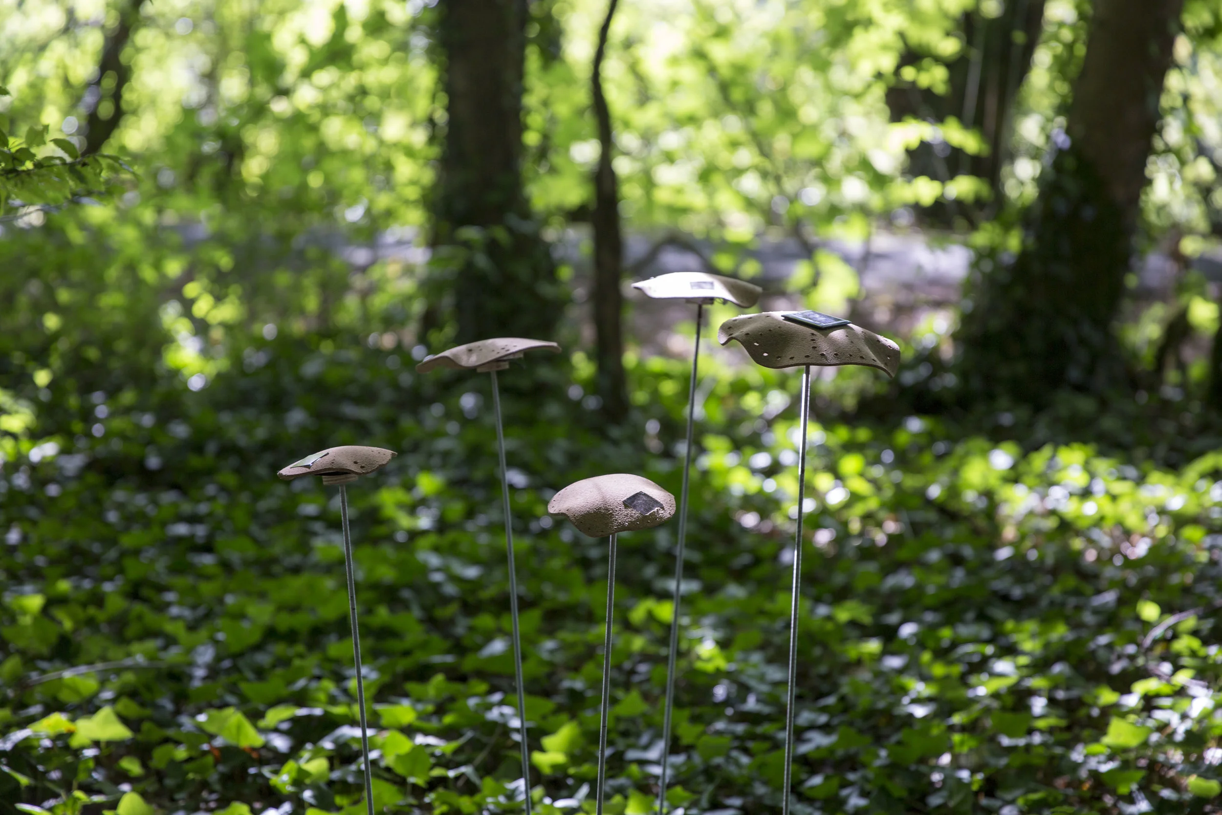 7G1A5464_Kukka_05082016_Ingebjørg Kårstad©CIRECA_Domaine de Boisbuchet.jpg.JPG
