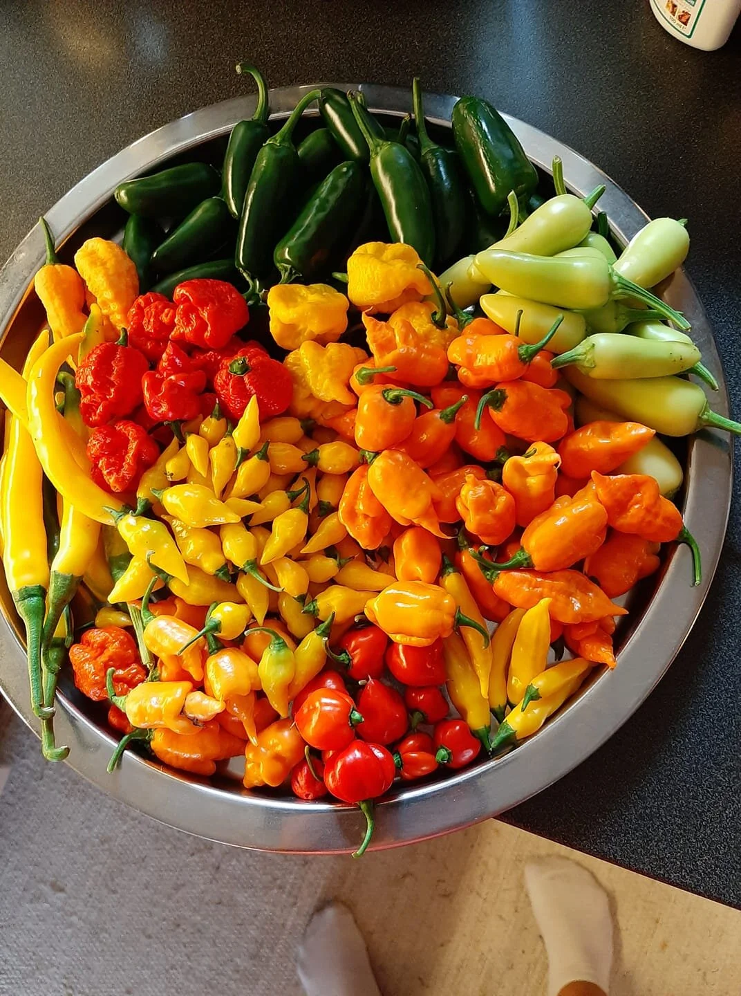 Chilli Vanilli.jpg