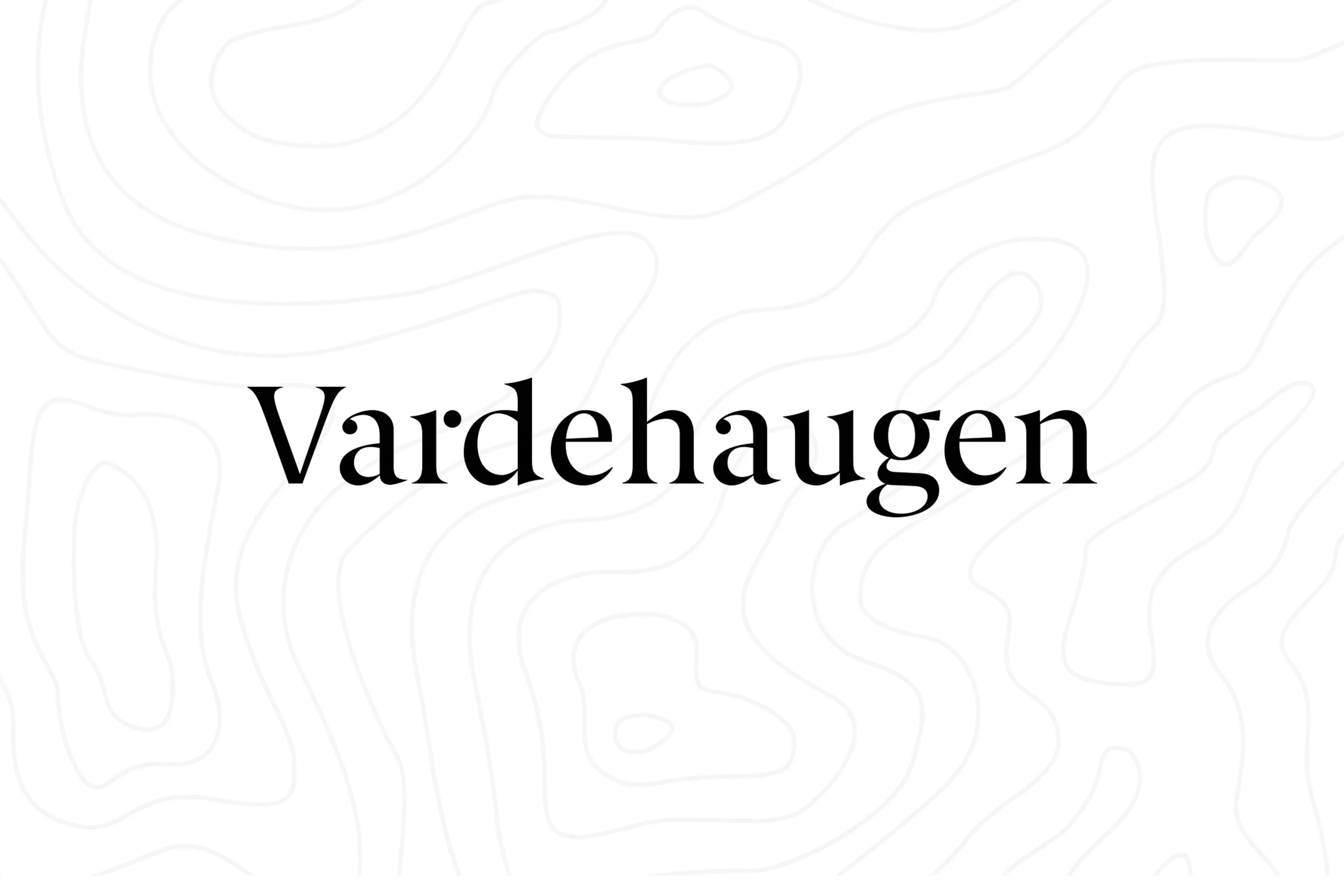 The amazing Vardehaugen is behind the FORMAT LIGHT 2019. Stay tuned for an introduction to the office and the story behind their design.