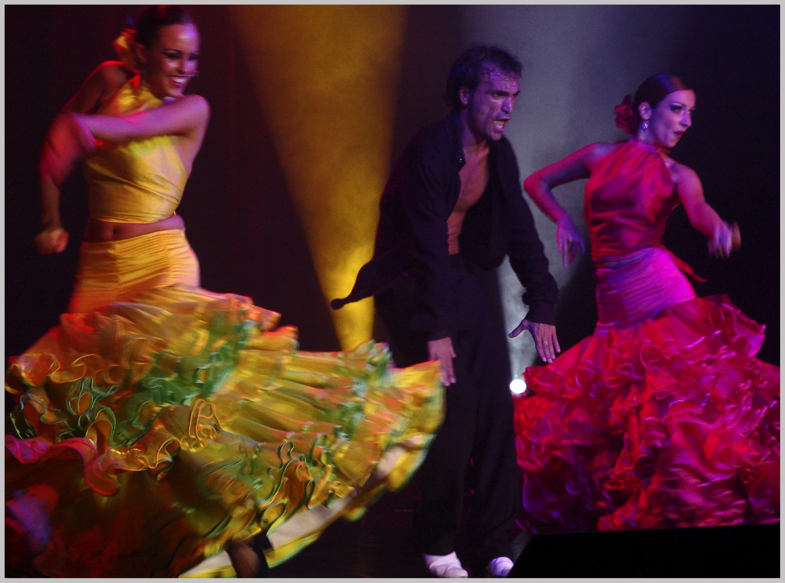 Flamencos (1)Lilu'd'art.JPG