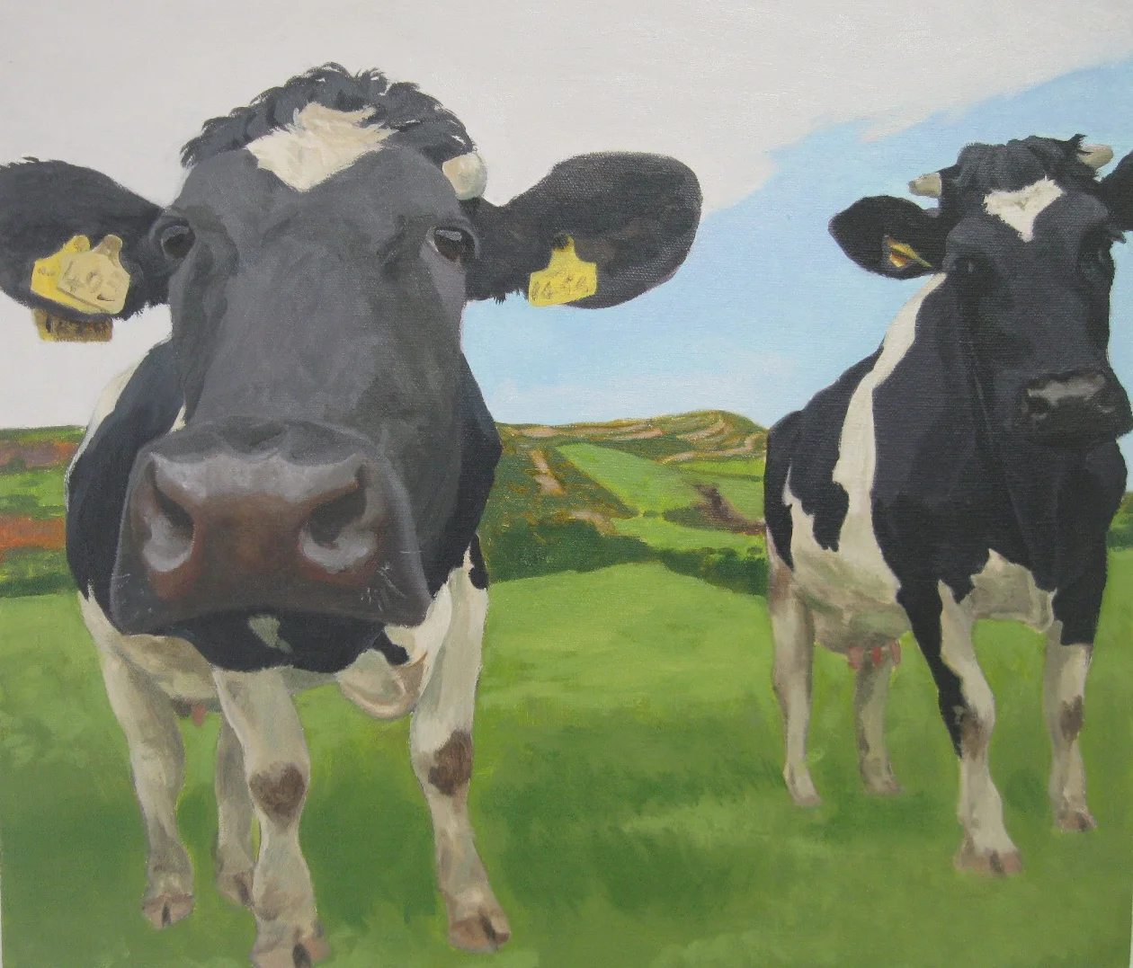 Nosy Cows, Oil on Canvas, 30x30cms