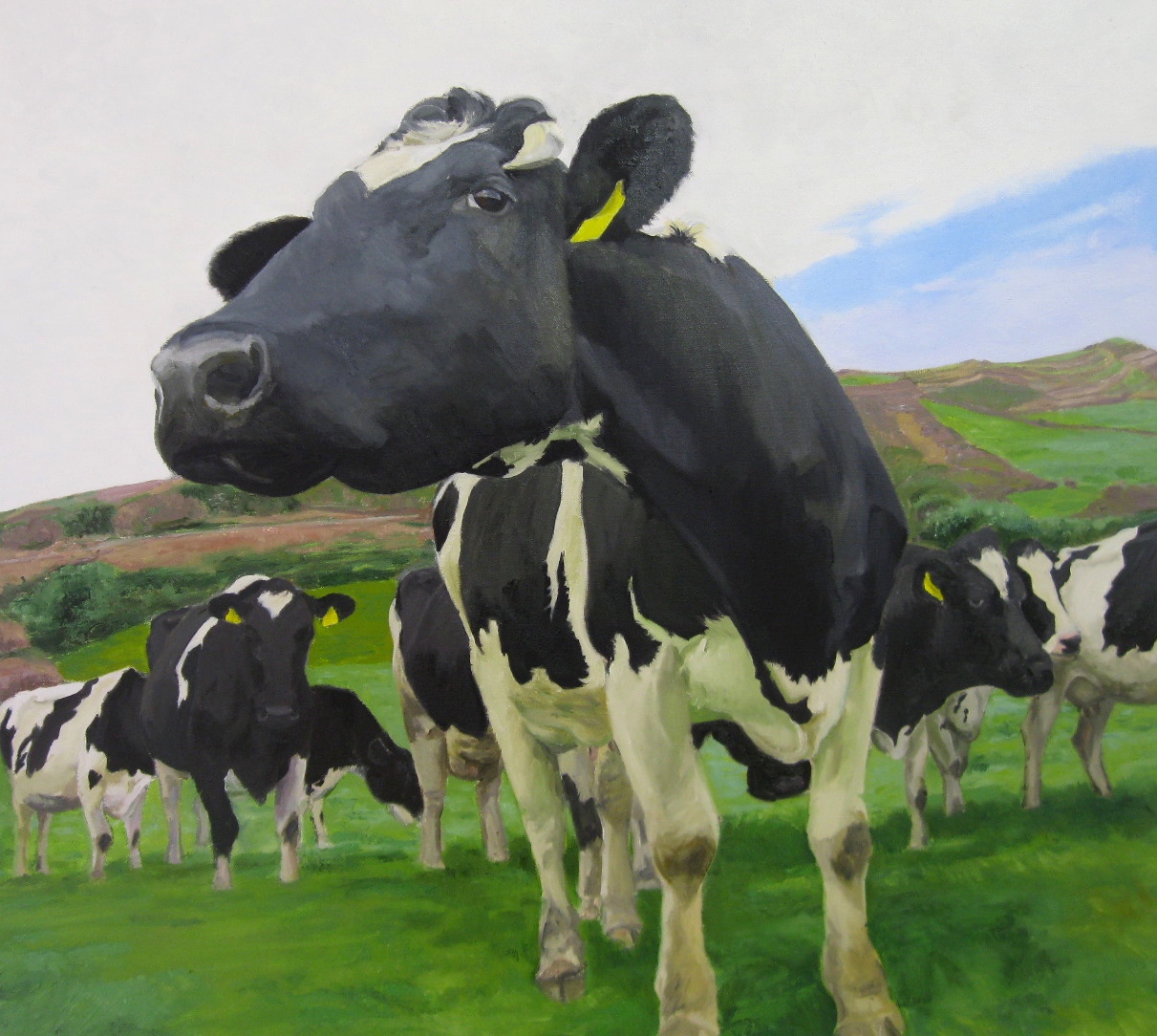 Dairy Cows, Oil on Canvas, 76.5x69.5cms