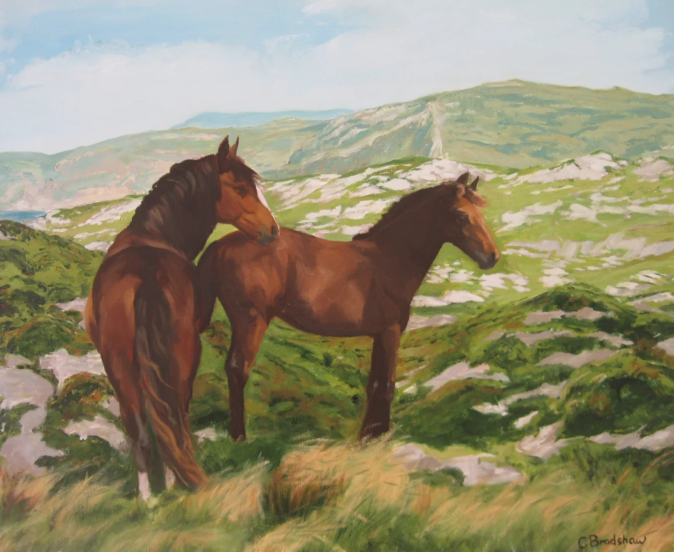 West Cork Horses, Oil on Canvas, 79x65cms
