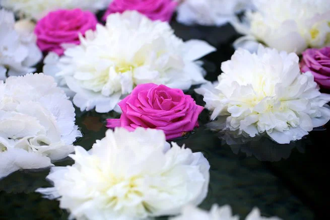 flowers-4.jpg