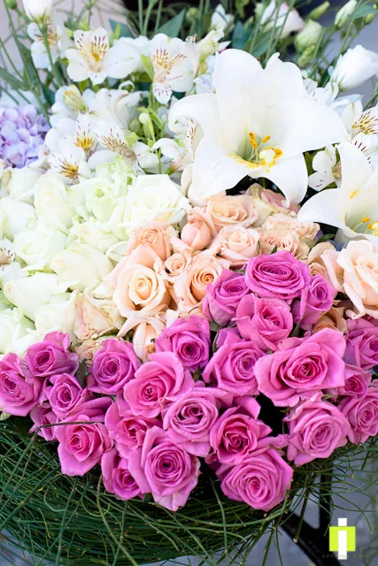flowers-8.jpg