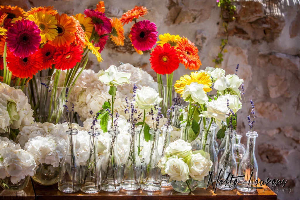 flowers-26.jpg