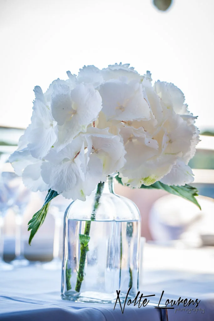 flowers-33.jpg