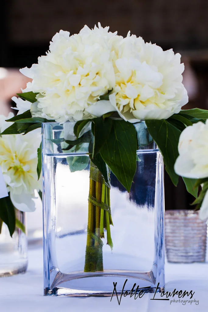 flowers-42.jpg