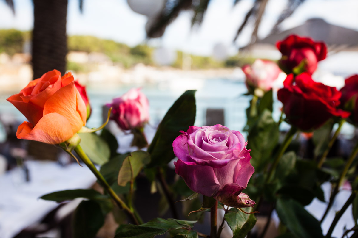 flowers-44.jpg