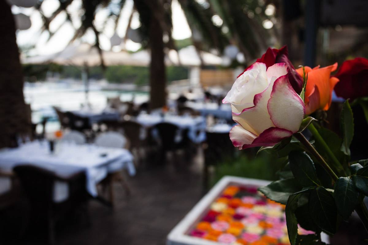 flowers-47.jpg