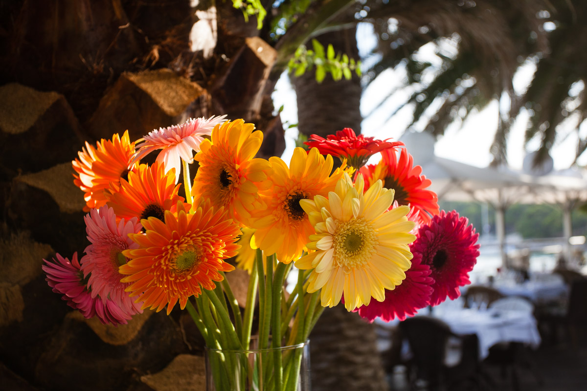 flowers-46.jpg