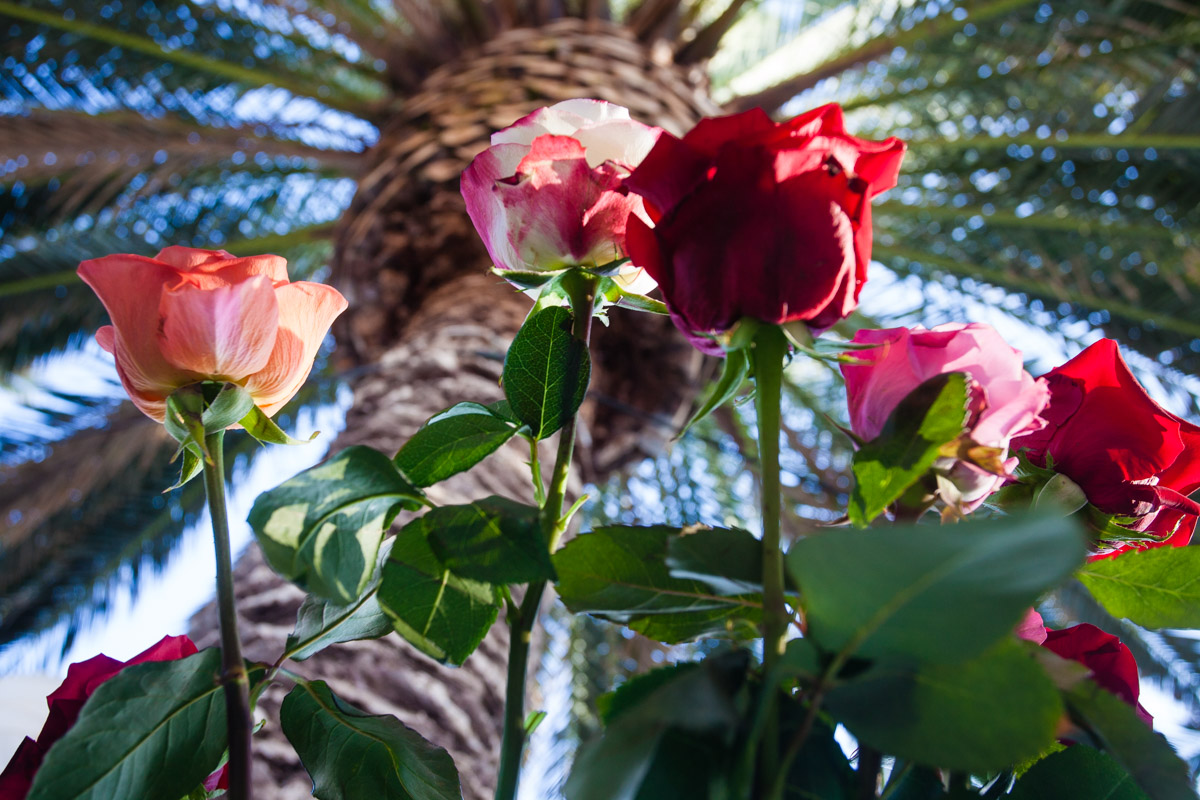 flowers-49.jpg