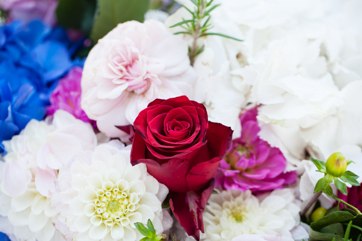 flowers-51.jpg
